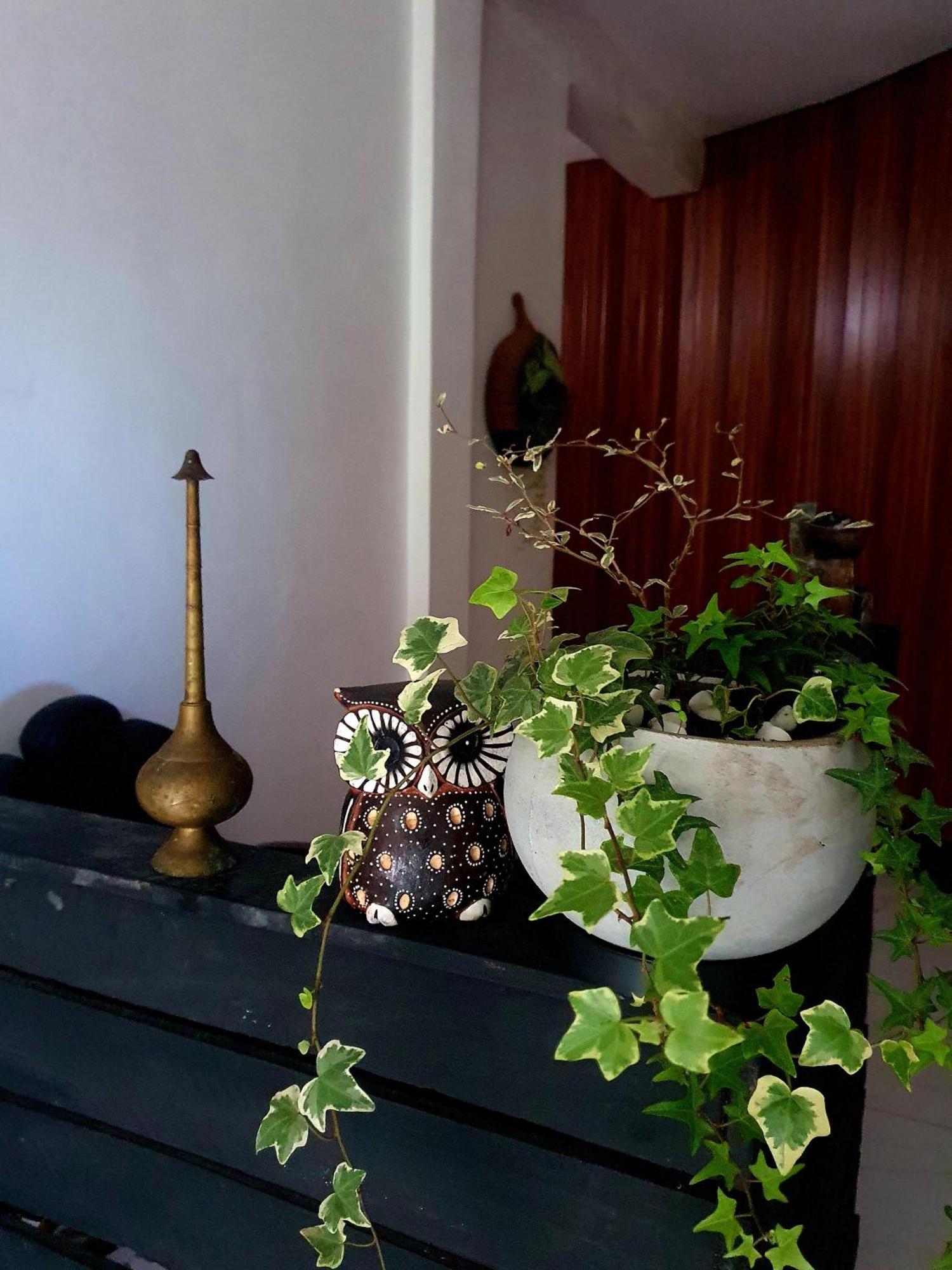 Kai Kazee Ella Otel Dış mekan fotoğraf